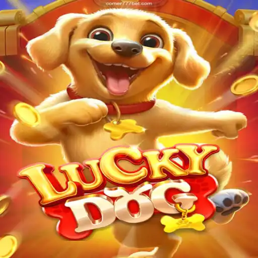 Discovering the Excitement of LuckyDog: A Premier Online Casino Experience